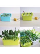 6 Holes Plant Site Hydroponic Garden Pots Planters System Indoor Garden Cabinet Box Grow Kit Bubble Nursery Pots 220V/110V 1 Set