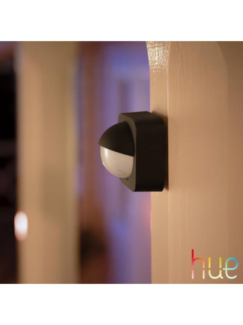 Philips Hue Motion sensor for outdoor use, integrated daylight sensor, black.