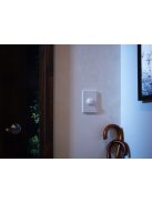 Philips Hue Smart button 