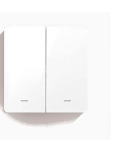 Philips Hue compatible 2 gang Zigbee Switch