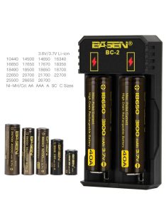 BASEN BC2 intelligent 2A fast battery charger