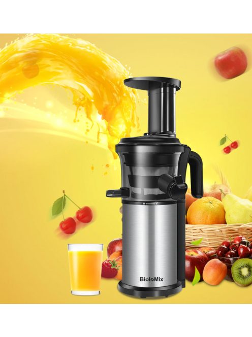 Biolomix BJ200 200W 40RPM Stainless Steel Masticating Slow Auger Juicer Machine Fruit and Vegetable Squeezer Press Juice Maker