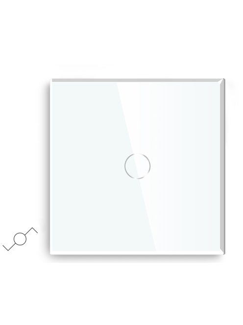 Elegant Touch Light Switch 1 Gang 2 Way, Tempered Glass Panel Light Switch