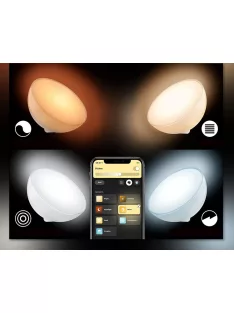 Philips Hue Bridge and Hue Go V2 lamp