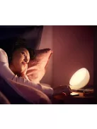 Philips Hue Bridge and Hue Go V2 lamp