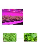 DC 5V USB LED Grow Light Full Spectrum 1m Plant Light Grow LED Strip Phyto Lamp for Vegetable Flower Seedling Grow Tent Box