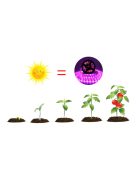 Fitolámpa LED szalag, teljes spektrumú,  növekedést elősegítő fény,  rózsaszínű  1m IP65