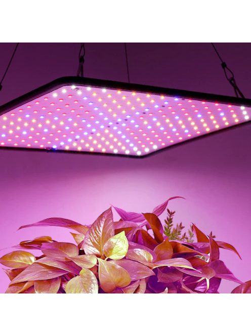 Fitolamp, LED Grow Light Panel  50W 