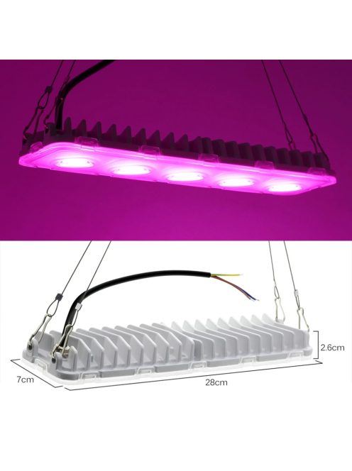 Fitolamp, LED Grow Light Panel  50W 