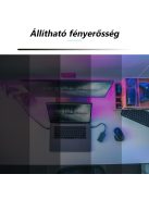 Philips Hue Lightstrip compatible RGBCCT controller Gledopto Pro