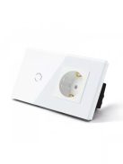 Elegant Touch Light Switch 1 Gang 1 Way and Socket, Tempered Glass Panel Light Switch 