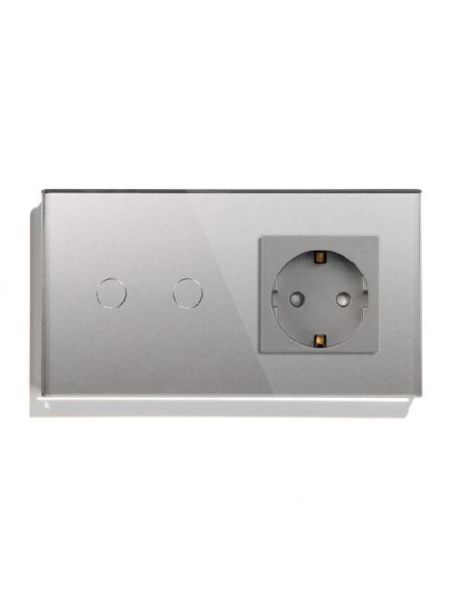 Elegant Touch Light Switch 2 Gang 1 Way and Socket Silver