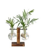 Terrarium Hydroponic Plant Vases - Type B