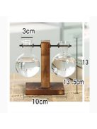 Terrarium Hydroponic Plant Vases - Type B