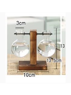 Terrarium Hydroponic Plant Vases - Type B