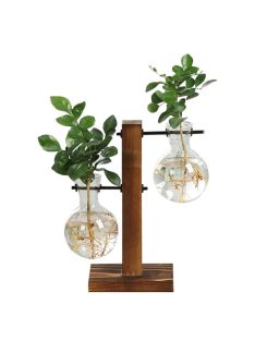 Terrarium Hydroponic Plant Vases 