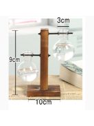 Terrarium Hydroponic Plant Vases 