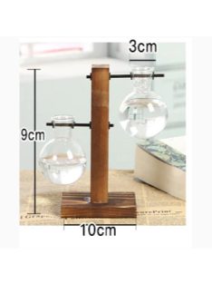 Terrarium Hydroponic Plant Vases 