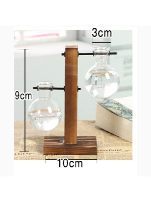 Terrarium Hydroponic Plant Vases 