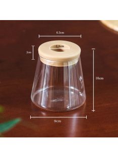 Transparent Hydroponic Flower Pot Imitation 