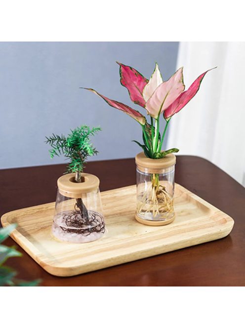 Transparent Hydroponic Flower Pot Imitation 
