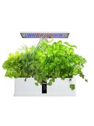 Hydroponic system - for growing 9 plants