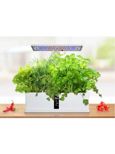 Hydroponic system - for growing 9 plants