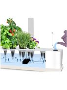 Hydroponic system - for growing 9 plants