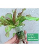 108-hole hydroponic piping system