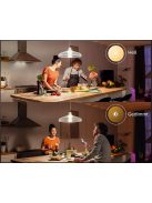 Philips Hue White  15.5W E27, 1600lm