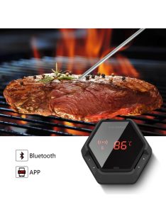   Inkbird IBT 6XS Professional core thermometer with Bluetooth connection, 4 probe thermometer INKBIRD IBT6XS4S