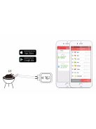 Inkbird IBT6XS Professional core thermometer with Bluetooth connection, 6-probe thermometer INKBIRD IBT6XS6s 