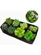 Raised bed 120*30*60