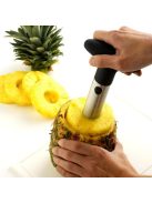Metal pineapple slicer