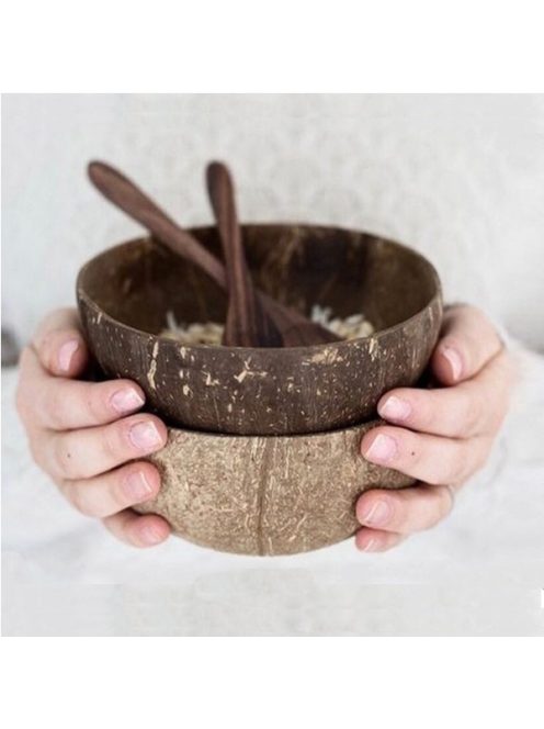 Natural Coconut Bowl with spoon set