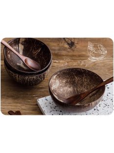 Natural Coconut Bowl with spoon set