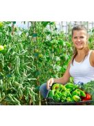 5 Meters/Roll Reusable Nylon Plant Tie