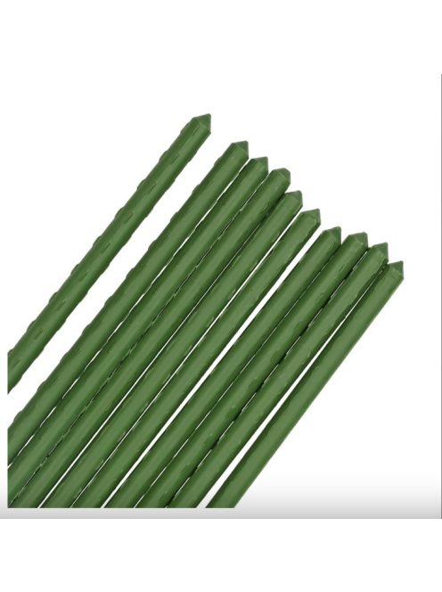 Tomato seedling stake, 60cm