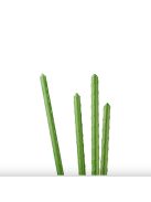 Tomato seedling stake, 60cm