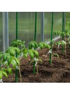 Tomato seedling stake, 60cm