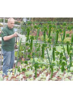   11-Piece Plastic Garden Plant Support Trellis – Durable Support System for Tomatoes, Cucumbers, Grapes