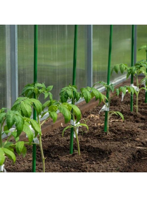 Tomato seedling stake connecting element