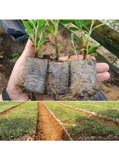 Seedling growing bag 