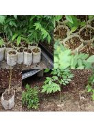 Seedling growing bag 