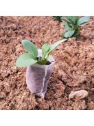 Seedling growing bag 