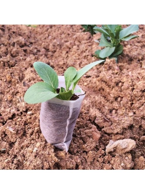 Seedling growing bag 