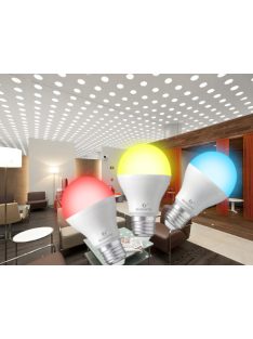   Philips Hue White and Color Kit Kompatibilis Gledopto 2 db E27 6W LED Izzó