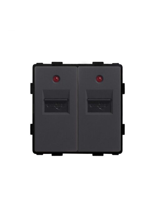 52*52 dual USB port wall socket for 82*82 panels Black