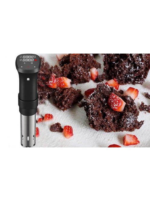 Sous vide cooker, Sturdy Immersion Circulator