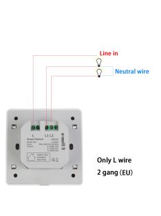 Tuya Zigbee Smart Switch 2 Gang 1 Way